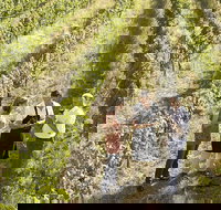 Beyond The Velvet Rope - Behind the Scenes Tour - Stayed