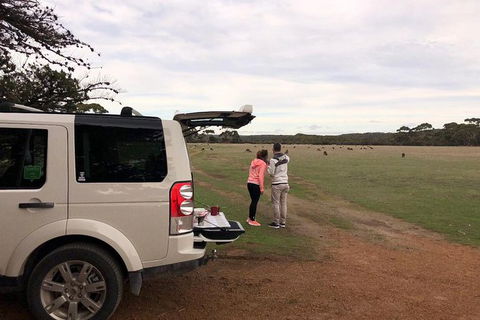 NEW TOUR - Flinders Chase Tour (Recovering From Fires) - Stayed 6