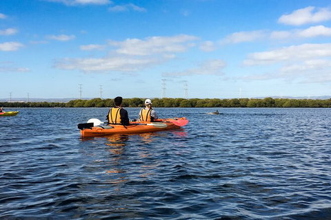Dolphin Sanctuary Kayaking In Adelaide - Stayed 0