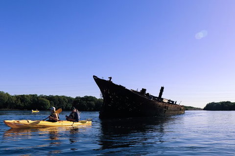 Dolphin Sanctuary Kayaking In Adelaide - Stayed 5