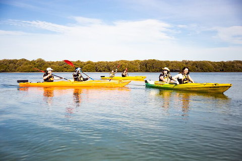 Dolphin Sanctuary Kayaking In Adelaide - Stayed 1