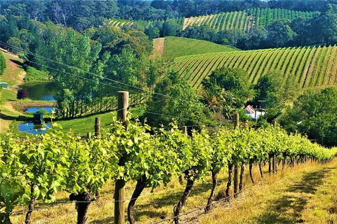 Adelaide Hills Private Day Tour - Stayed 0
