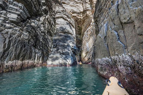 Hobart\'s Cliffs, Caves And Beaches Kayak Tour - Stayed 6
