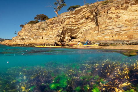 Hobart\'s Cliffs, Caves And Beaches Kayak Tour - Stayed 2