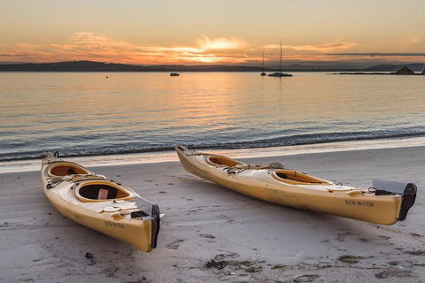 Hobart\'s Cliffs, Caves And Beaches Kayak Tour - Stayed 5