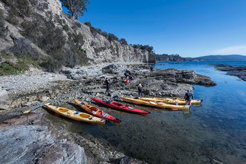 Hobart\'s Cliffs, Caves And Beaches Kayak Tour - Stayed 1