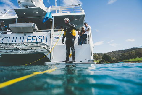 Deep-to-Dish: Tasmanian Seafood Experience - Afternoon Tour - Stayed 6