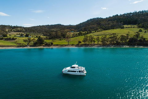 Deep-to-Dish: Tasmanian Seafood Experience - Afternoon Tour - Stayed 8