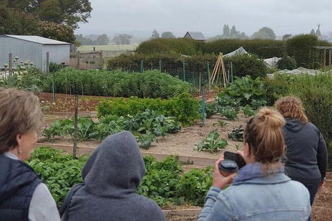 Unearthed Chefs Tour - Stayed 17