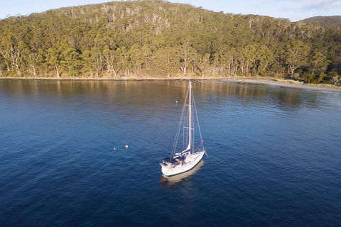 Derwent River Day Sail From Sullivan Cove And Return - Stayed 2
