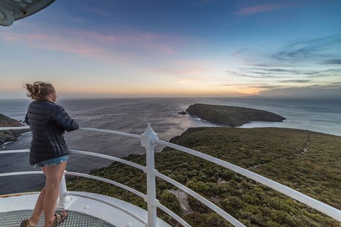 Fully Guided Bruny Island Lighthouse Tour - Stayed 4