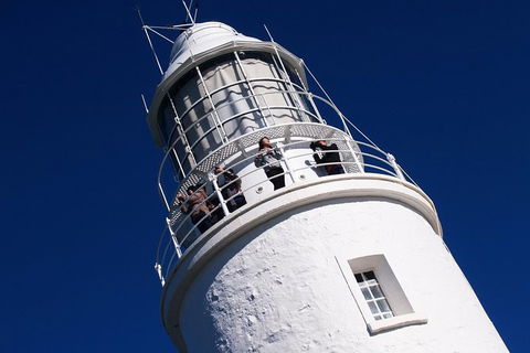 Fully Guided Bruny Island Lighthouse Tour - Stayed 1