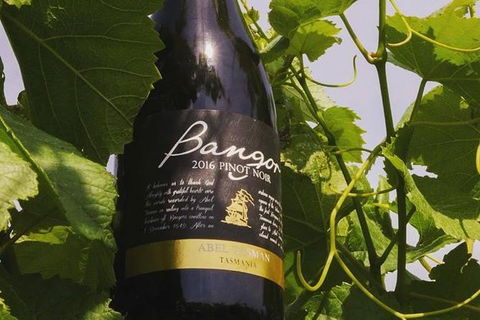 Full Day Tour Hobart: Port Arthur McHenry Gins Bangor Vineyard Wines + Oysters - Stayed 2