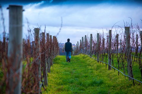 Full Day Tour Hobart: Port Arthur McHenry Gins Bangor Vineyard Wines + Oysters - Stayed 26
