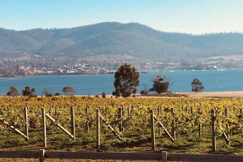 Full Day Tour Hobart: Port Arthur McHenry Gins Bangor Vineyard Wines + Oysters - Stayed 22