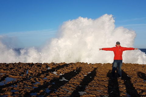 Ride Tours, 2 Day Great Ocean Road Experience - Stays Accommodation 1
