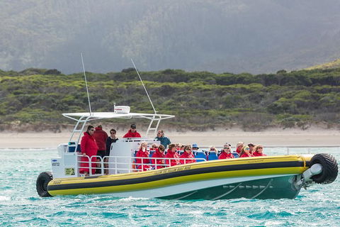 Wilsons Promontory Wilderness Cruise From Tidal River - Stayed 2