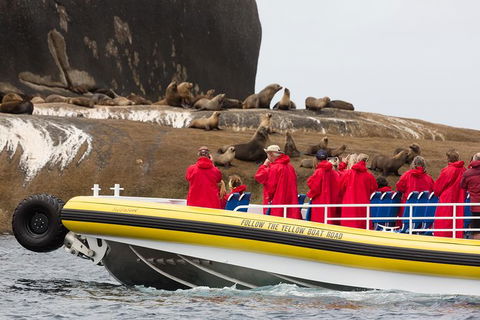 Wilsons Promontory Wilderness Cruise From Tidal River - Stayed 3