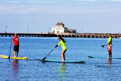 Private Stand-Up Paddle Board Lesson At St Kilda - Stays Accommodation 0