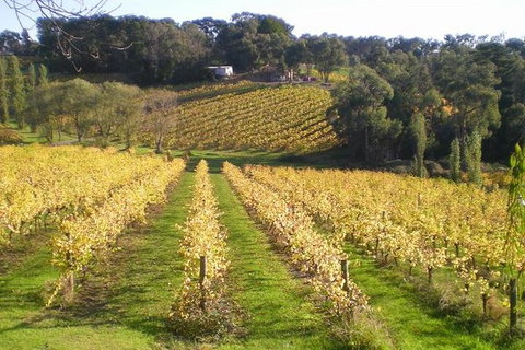 Macedon Ranges Winery Tour From Melbourne - Stayed 1