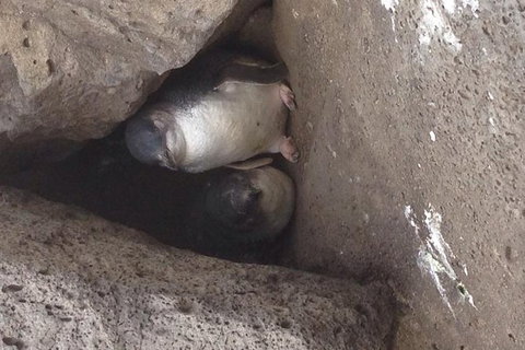 Food Tour Melbourne - St Kilda - Stayed 4