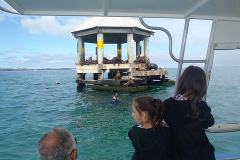 Sailing Cruise With Seals - Stayed 0