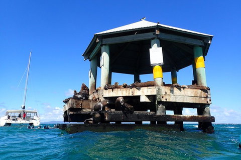 Sailing Cruise With Seals - Stayed 1