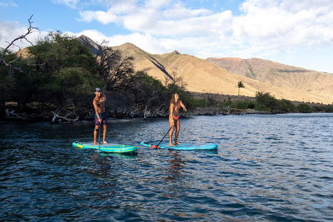 Stand Up Paddle Boarding Hire - Stayed 2