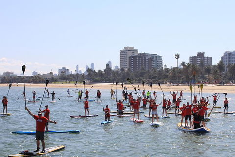 Stand Up Paddle Boarding Hire - Stayed 5