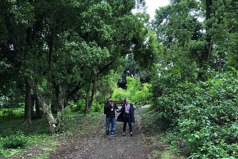 Alices Journeys Guided Walking Tours Of Daylesford - Stayed 5
