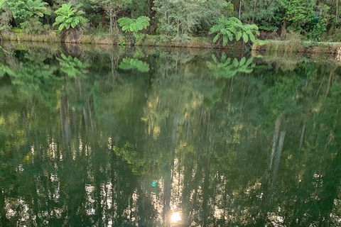 Hiking Tour To Aqueduct And Warburton Valley Lookout - Stayed 2