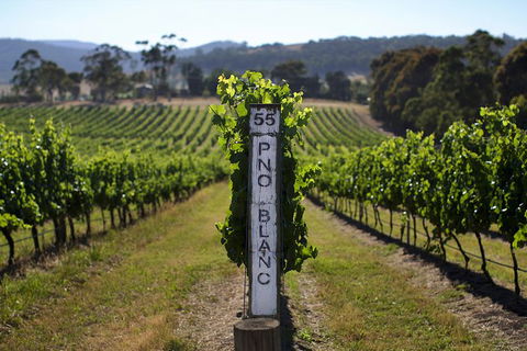 Mornington Peninsula 2-6 Guests Lunch Rare Hare Or Merricks General Wine Store - Stayed 5