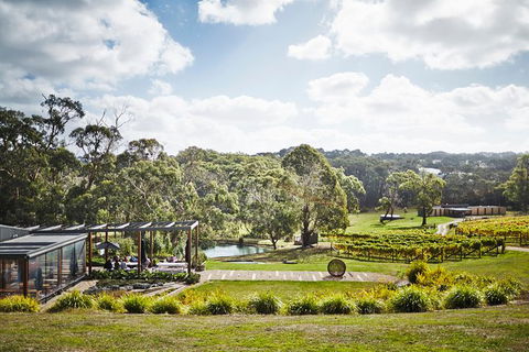 Mornington Peninsula 2-6 Guests Lunch, Wine And Pt Leo Estate Art Walk - Stayed 2