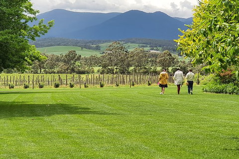 Yarra Valley Wine Tasting Day Tour From Melbourne - Stayed 6