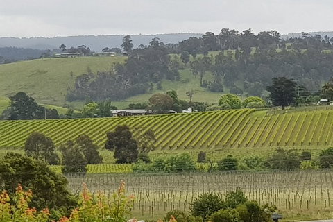 Yarra Valley Wine Tasting Day Tour From Melbourne - Stayed 0