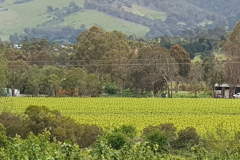 Day Tour Of Yarra Valley Puffing Billy And Rayners Orchard - Stayed 44