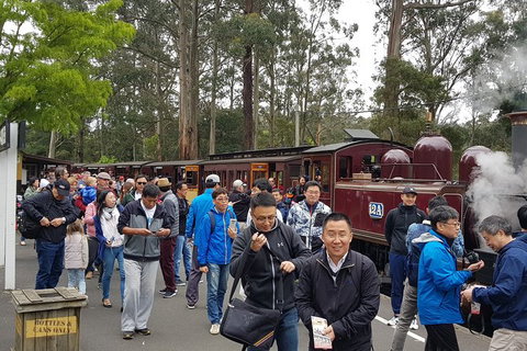 Day Tour Of Yarra Valley Puffing Billy And Rayners Orchard - Stayed 3