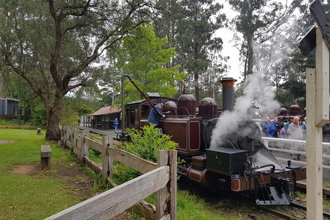 Day Tour Of Yarra Valley Puffing Billy And Rayners Orchard - Stayed 14