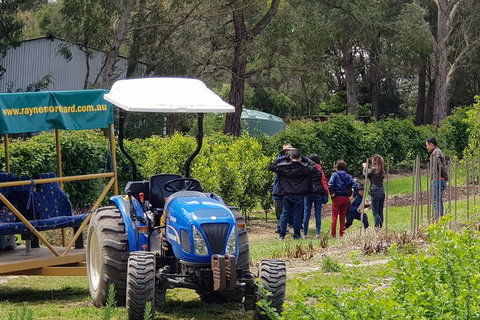 Day Tour Of Yarra Valley Puffing Billy And Rayners Orchard - Stayed 10
