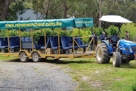 Day Tour Of Yarra Valley Puffing Billy And Rayners Orchard - Stayed 48