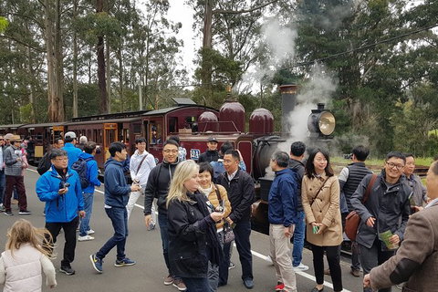 Day Tour Of Yarra Valley Puffing Billy And Rayners Orchard - Stayed 18