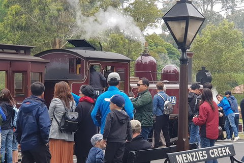 Day Tour Of Yarra Valley Puffing Billy And Rayners Orchard - Stayed 40