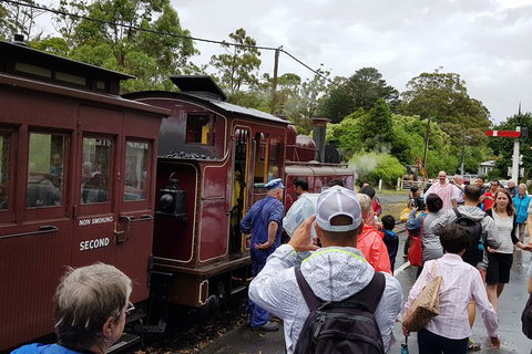 Day Tour Of Yarra Valley Puffing Billy And Rayners Orchard - Stayed 23