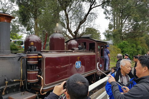 Day Tour Of Yarra Valley Puffing Billy And Rayners Orchard - Stayed 28