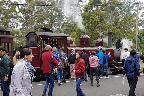 Day Tour Of Yarra Valley Puffing Billy And Rayners Orchard - Stayed 4