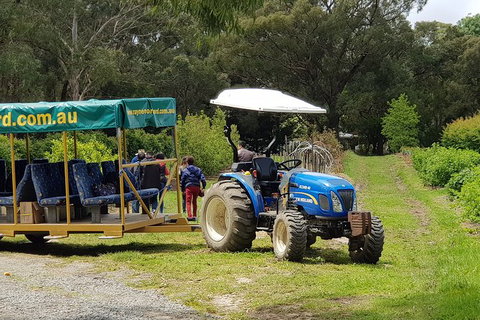 Day Tour Of Yarra Valley Puffing Billy And Rayners Orchard - Stayed 25