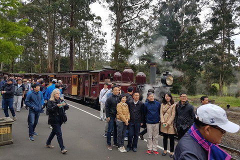 Day Tour Of Yarra Valley Puffing Billy And Rayners Orchard - Stayed 9