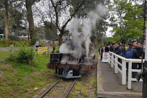 Day Tour Of Yarra Valley Puffing Billy And Rayners Orchard - Stayed 43