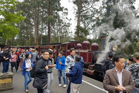 Day Tour Of Yarra Valley Puffing Billy And Rayners Orchard - Stayed 12