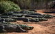 Malcolm Douglas Crocodile Park - thumb 8